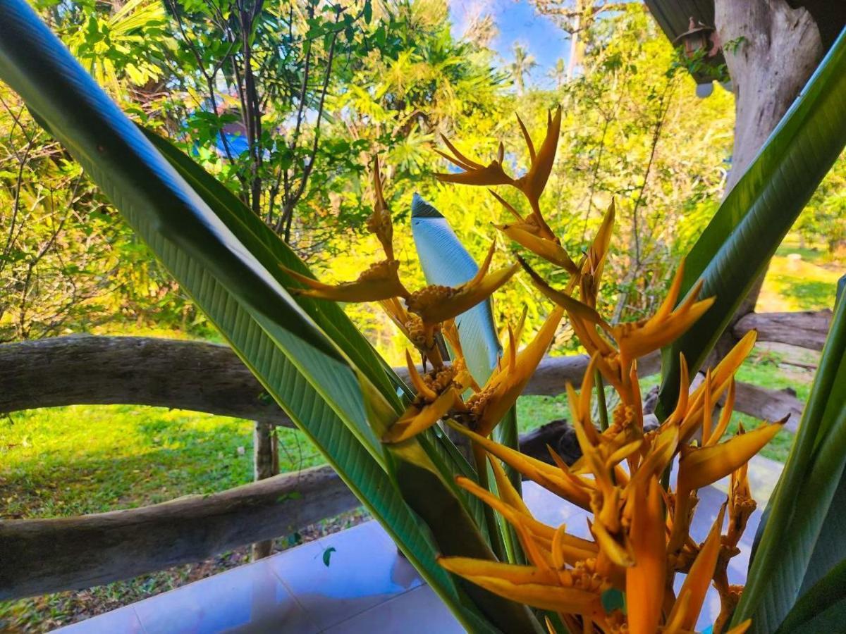 Banmae Resort Kohchang Koh Chang Zewnętrze zdjęcie